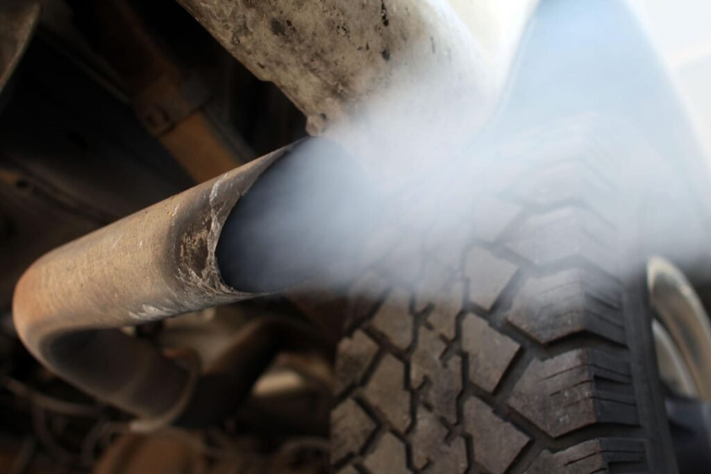 The Epa Did Not Ban Gasoline Powered Cars. Cut Air Pollution